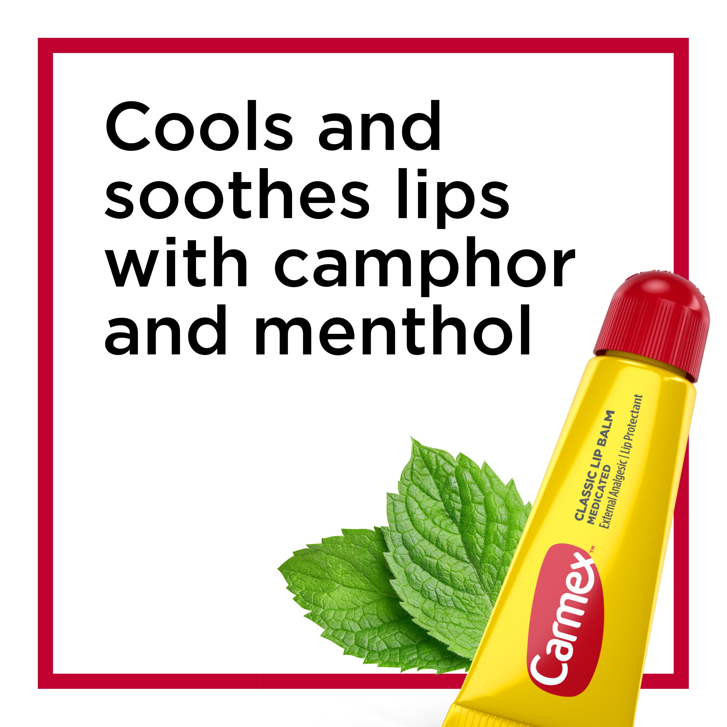 Carmex Lip Balm Moisturizer